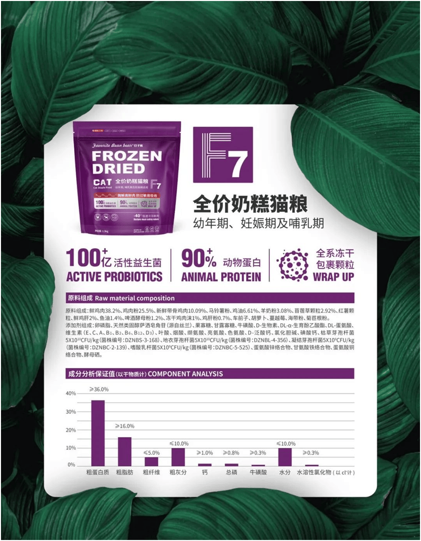 食品品牌上新不断上心永远开元棋牌app豆子熊宠物(图5)