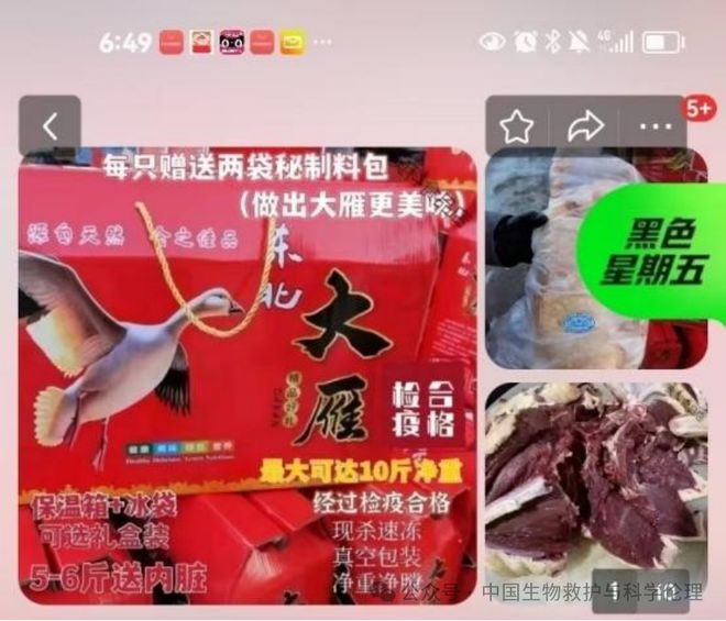 都有请下架野生动物买卖｜志愿者反映开元ky棋牌电商平台动物成