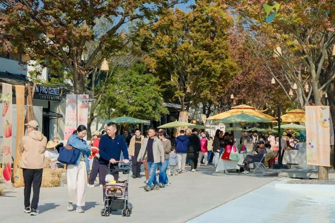 地标——重云巷正式开街！开元ky棋牌宠物